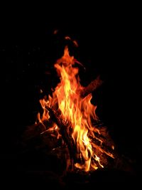 Close-up of bonfire at night