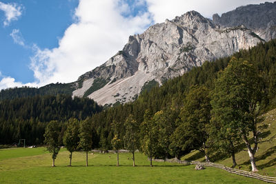 Scenic view of trees and mountains against sky