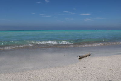 Scenic view of sea against blue sky