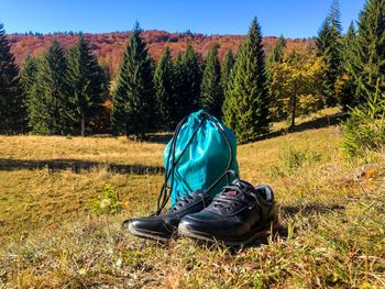 Hiking boots and blue backpack with forest in the background on a day with clear blue sky