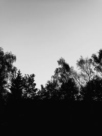 Low angle view of silhouette trees against clear sky