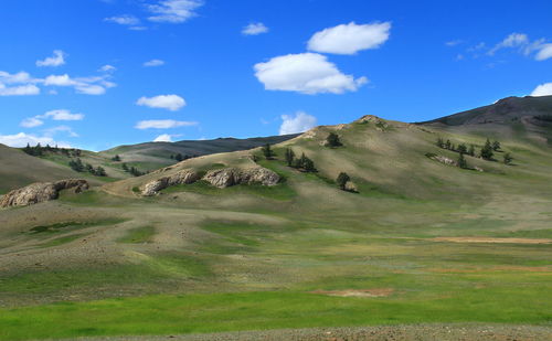 Green grassy field with hills, small rocks on the hills, trees, summer sunny day, sky with clouds