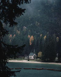 Scenic view of trees and houses by building