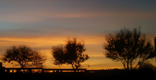 Silhouette trees against sky during sunset