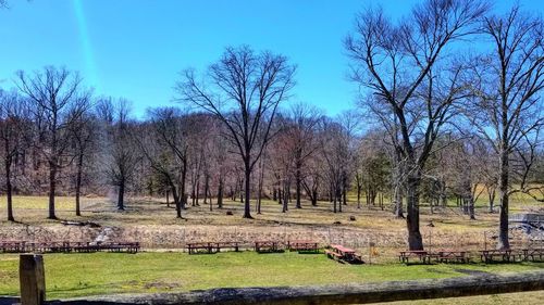 Bare trees on field against sky