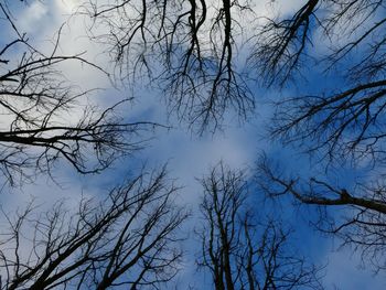 Low angle view of bare trees against sky