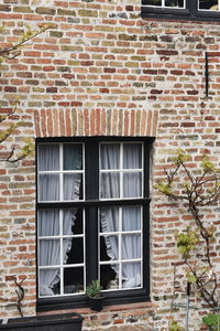 Window of building