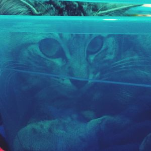 Full frame shot of water