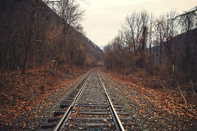 Railroad tracks in winter