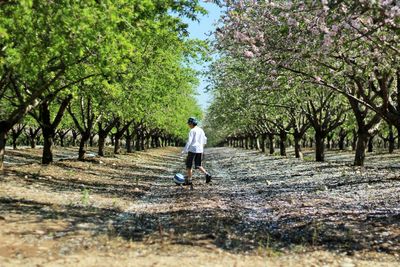 Full length of a man on tree