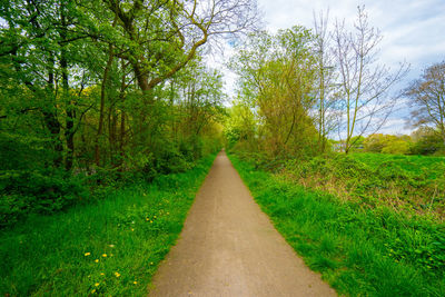 Scenic view of grassy field against sky