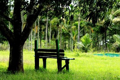 Empty bench in park