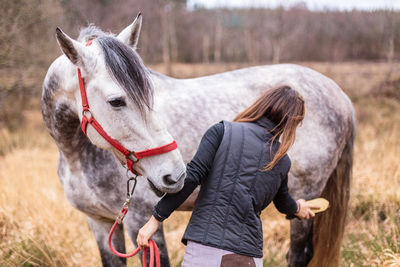 Horse standing on field