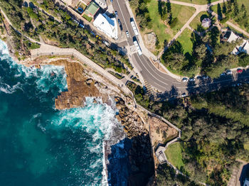 High angle view of road amidst trees