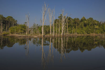 Reflection of trees in lake against sky