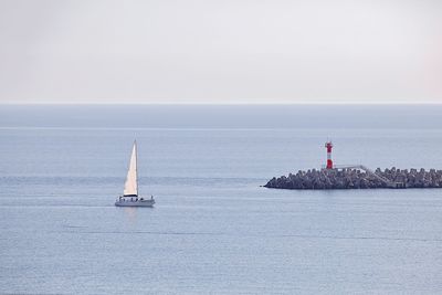 Sailboat sailing in sea against clear sky