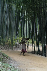 Rear view of woman walking on beach