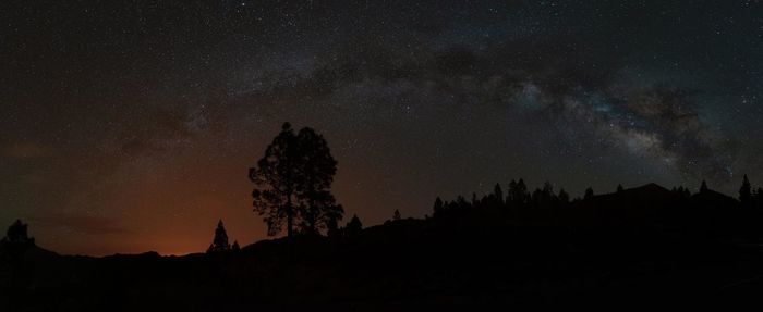 Low angle view of silhouette trees against sky at night