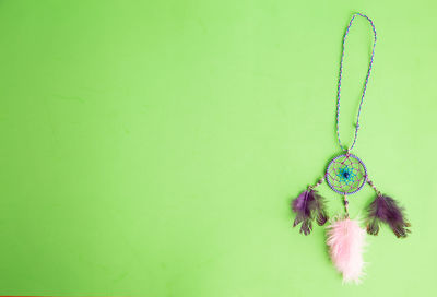 Close-up of feather hanging against wall