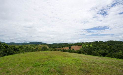 Scenic view of field against sky