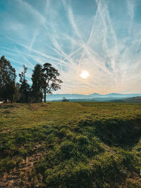 Scenic view of field against sky