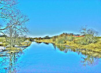 Reflection of trees in calm lake