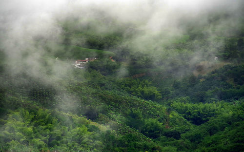 Scenic view of landscape during foggy weather