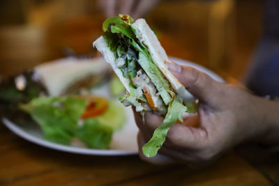 Close-up of hand holding sandwich