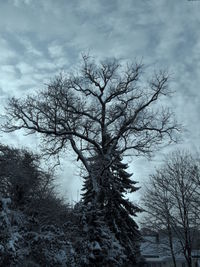 Low angle view of bare tree against cloudy sky