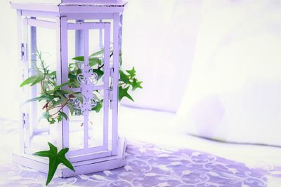 Close-up of purple flowers on table at home