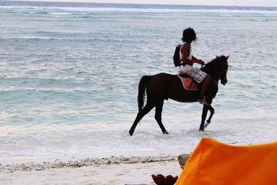 Horse riding horses on beach