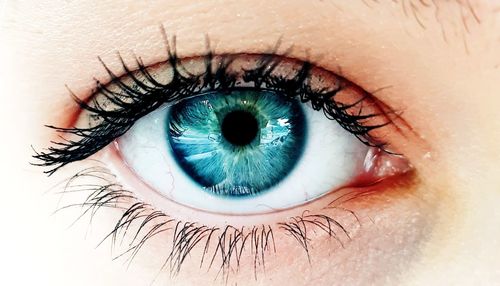 Extreme close-up portrait of woman eye