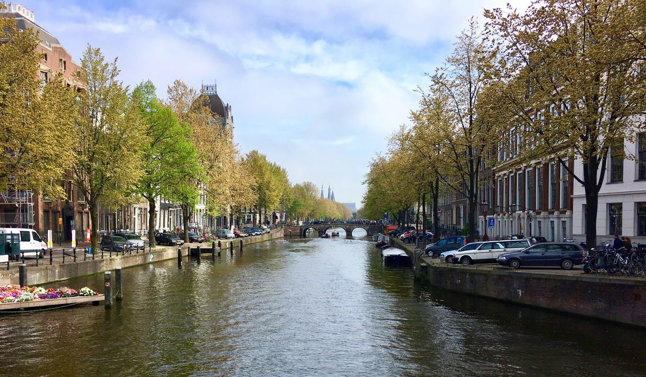 tree, water, mode of transport, sky, cloud - sky, transportation, large group of people, day, real people, outdoors, building exterior, nautical vessel, river, architecture, built structure, nature, city, people