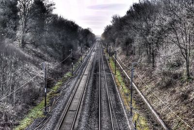 Railroad track along trees