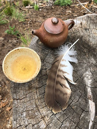 High angle view of tea art feather