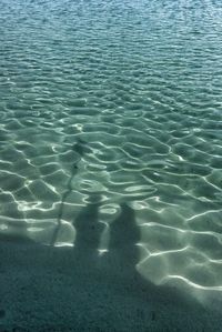 Reflection of people in water