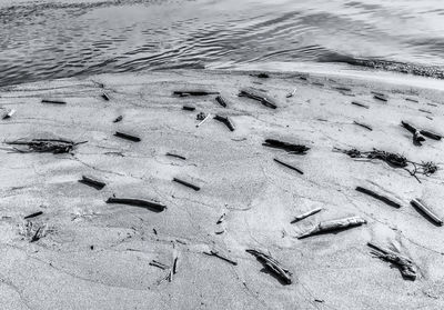 High angle view of footprints on beach