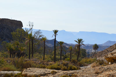 Scenic view of landscape and mountains against sky