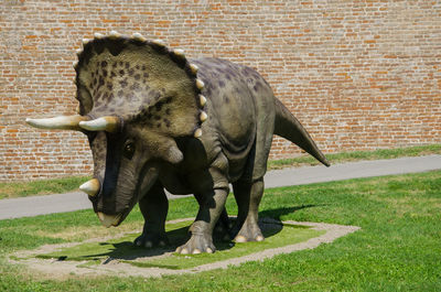 Elephant standing against wall