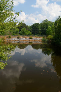 Reflection of trees in lake against sky