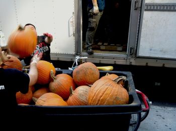 View of pumpkins in market