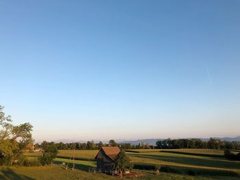 Scenic view of agricultural field against clear blue sky