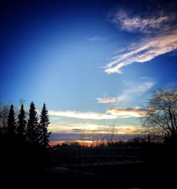 Silhouette trees on field against sky at sunset