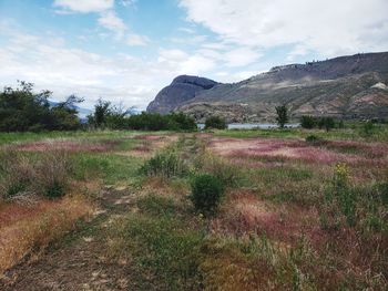 Scenic view of landscape and mountains against sky