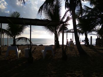 Palm trees on beach