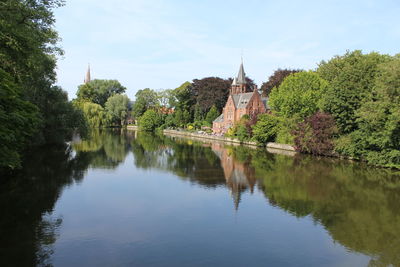 Reflection of trees in water