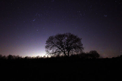 Silhouette trees on field against sky at night