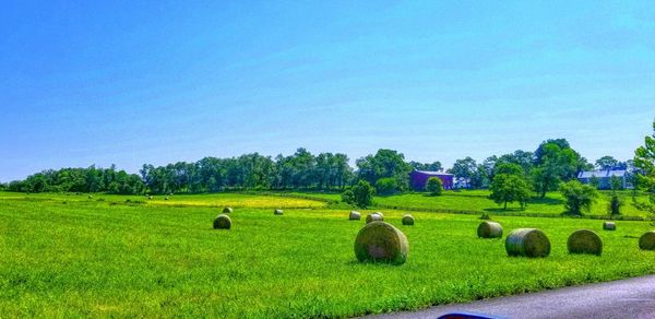 Hay bales on field against clear blue sky