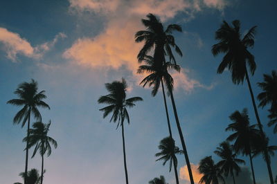 Low angle view of silhouette palm trees against sky