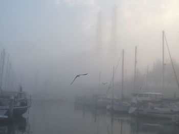 Sailboats moored in harbor against sky during foggy weather